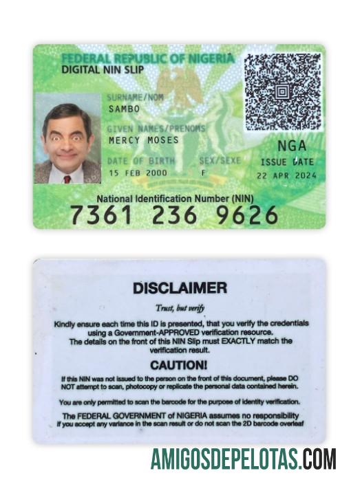 نائجیریا digital NIN slip کارڈ ماک اپ