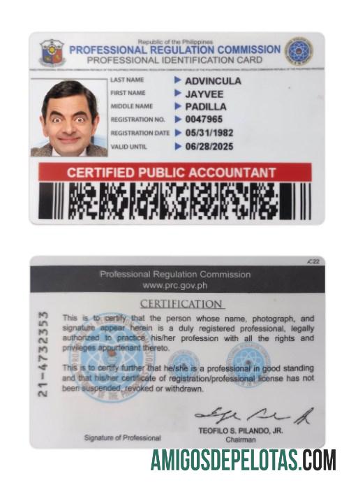 فلپائن پیشہ ورانہ شناختی کارڈ نمونہ
