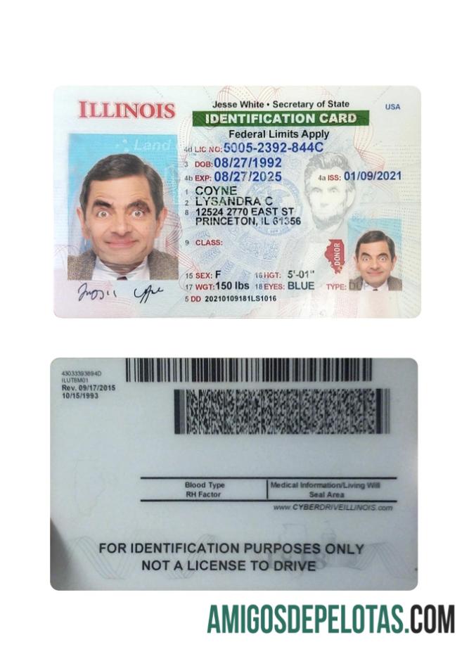 امریکہ Illinois شناختی کارڈ نمونہ
