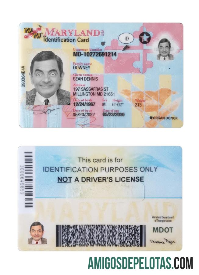 امریکہ Maryland شناختی کارڈ ماک اپ