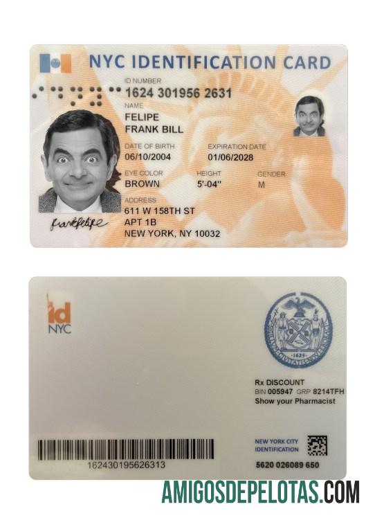 امریکہ نیا York شناخت کارڈ ماک اپ