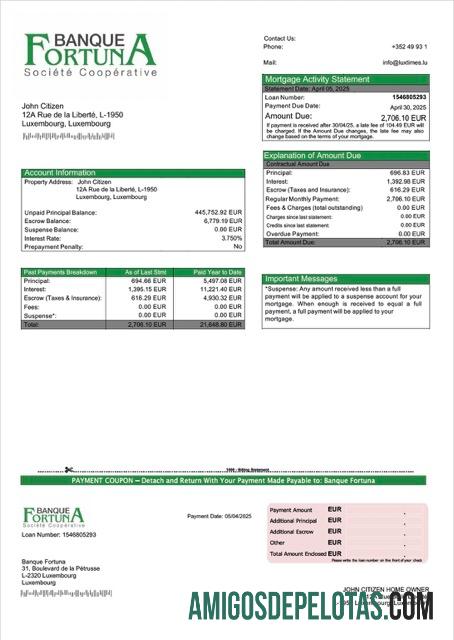Profesional Luksemburg Banque Fortuna Hipotik laporan Word and PDF templat