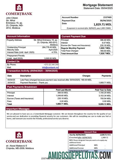 Premium Moldova Comert╠ªbank Hipotik laporan Word and PDF templat