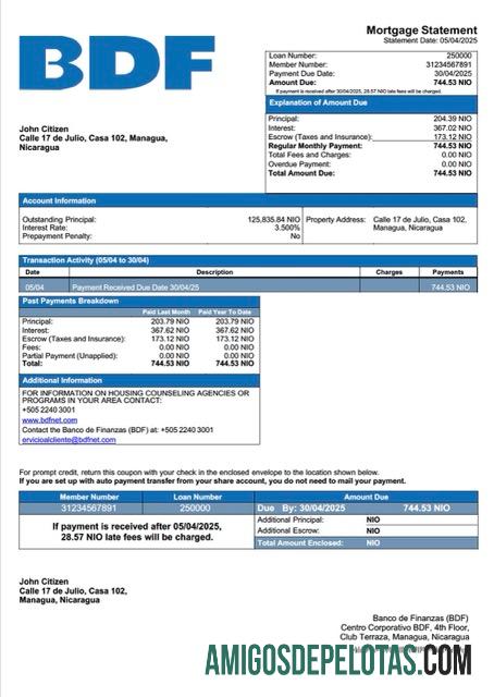 Premium Nikaragua Banco de Finanzas (BDF) Hipotik laporan Word and PDF templat
