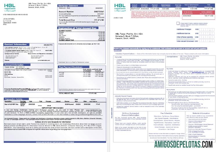 Pakistan Habib Hipotik laporan in Word and PDF format, 3 pages 1 2 desain