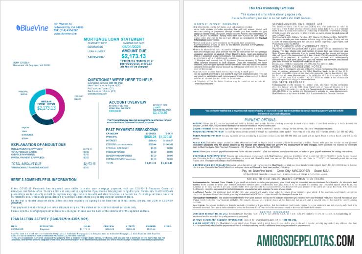 AS California BlueVine bank Hipotik Pinjaman laporan in Word and PDF format , 4 pages 1 2 sampel