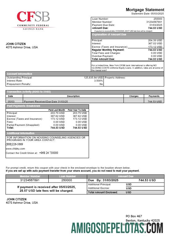 AS Baru York CFSB bank Hipotik laporan in Word and PDF format pratinjau