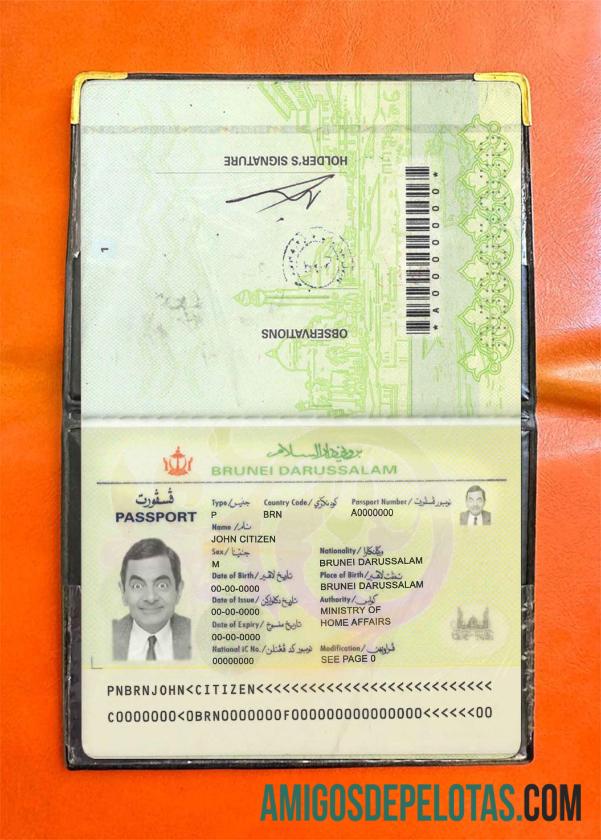 برونائی pass فوٹو look ٹیمپلیٹ