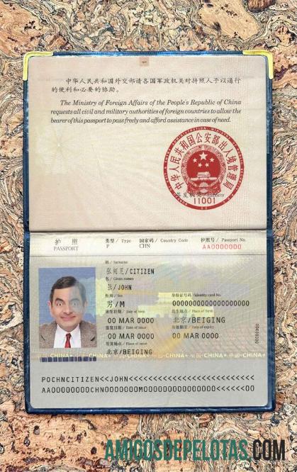 چین pass (2007 2009) فوٹو look ٹیمپلیٹ