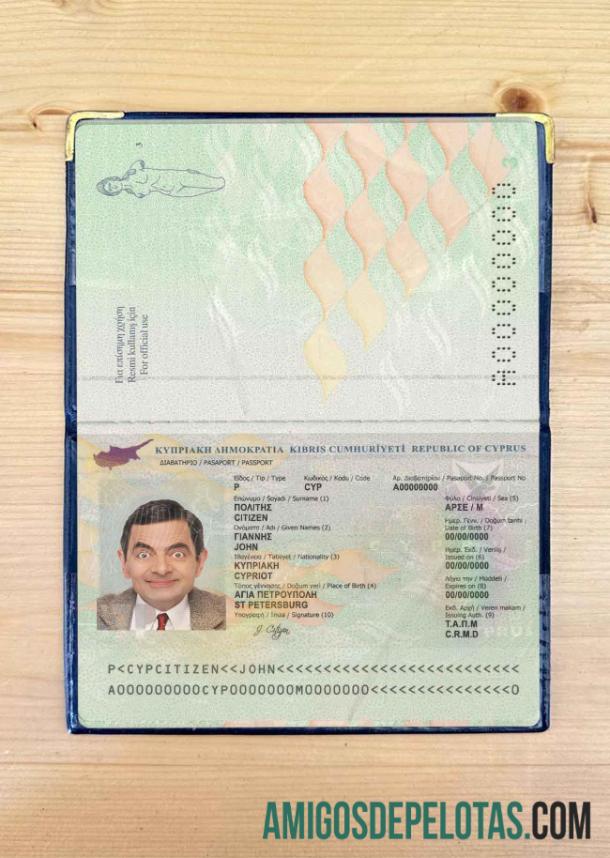 قبرص پاسپورٹ فوٹو look نمونہ
