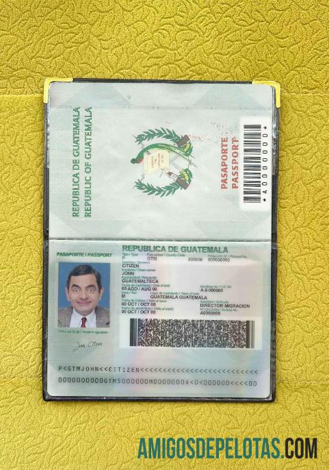 گوئٹے مالا پاسپورٹ فوٹو look ڈیزائن