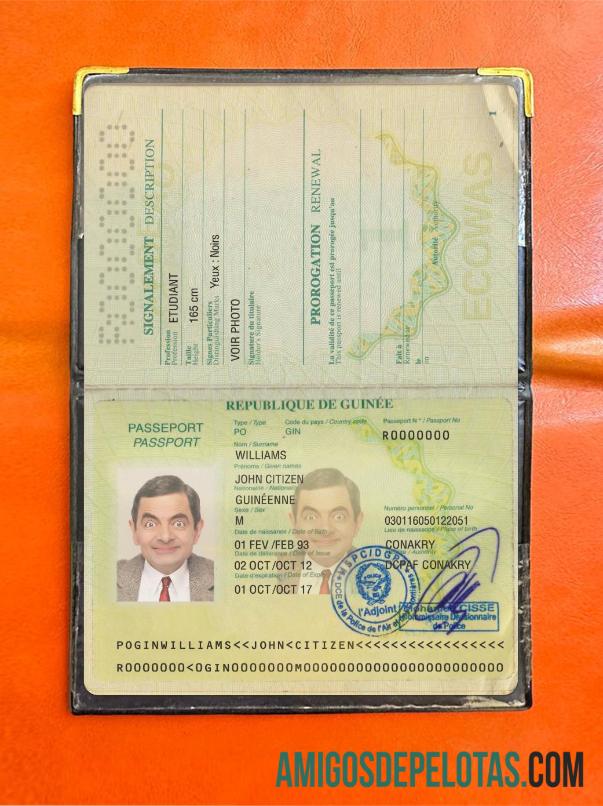 گنی پاسپورٹ ورژن 2 فوٹو لک ماک اپ
