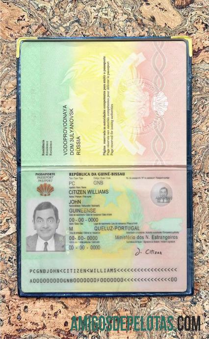 گنی Bissau پاسپورٹ فوٹو look نمونہ