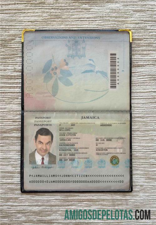جمیکا pass فوٹو look نمونہ