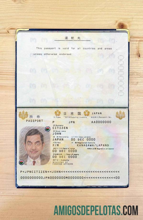 جاپان pass فوٹو look پیش نظارہ