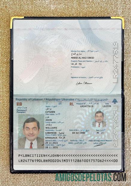 لبنان پاسپورٹ 2021 موجودہ فوٹو لک ماک اپ