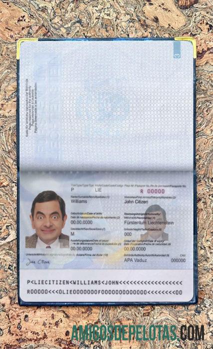 لیختنستین pass فوٹو look نمونہ