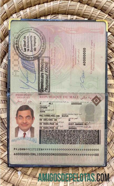 مالی پاسپورٹ فوٹو look نمونہ