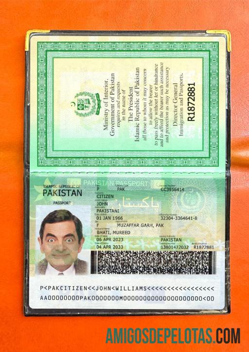 پاکستان پاسپورٹ 2023 موجودہ ورژن 2 فوٹو لک پیش نظارہ