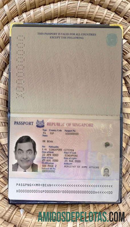 سنگاپور pass (2006 2017) فوٹو look ڈیزائن