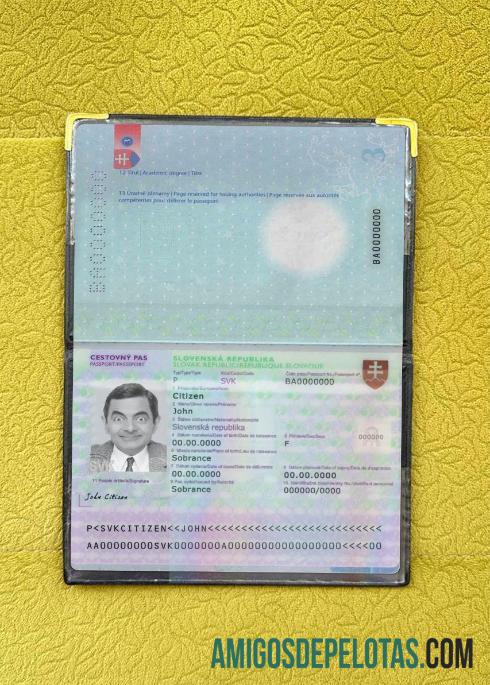 سلوواکیہ پاسپورٹ ورژن 3 فوٹو لک ماک اپ