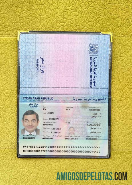 شام پاسپورٹ 2022 موجودہ فوٹو لک نمونہ