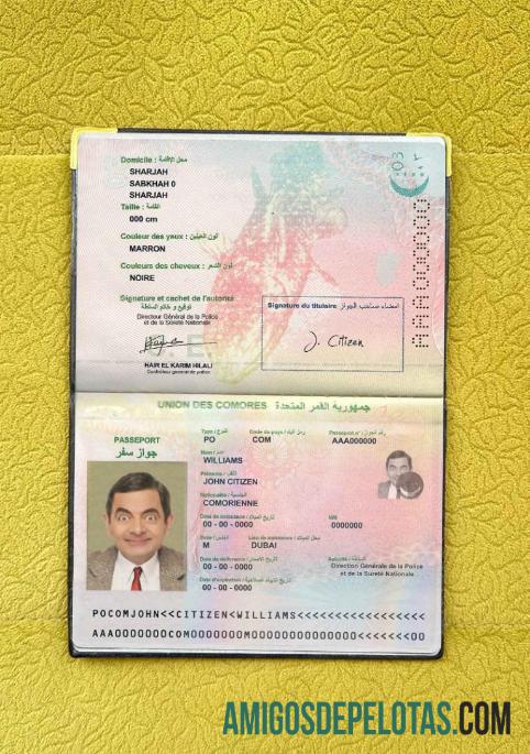 یونین Des Comores پاسپورٹ فوٹو look نمونہ