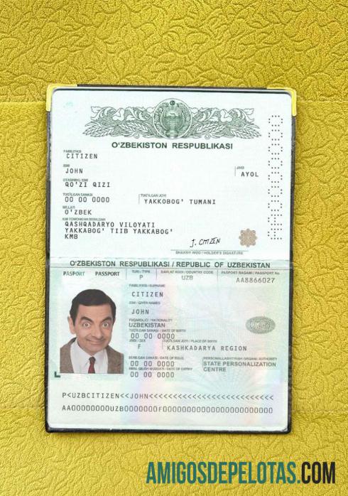 ازبکستان pass فوٹو look ڈیزائن