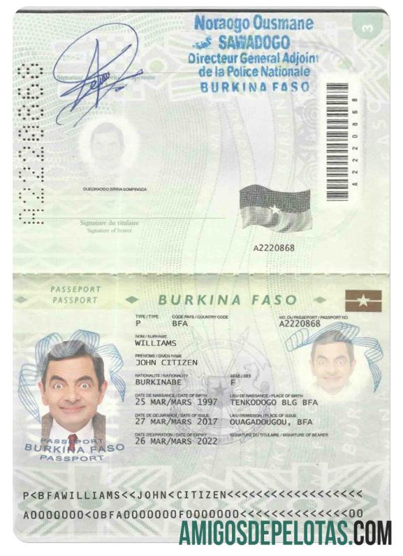 Burkina Faso paspor (2008 2018) desain