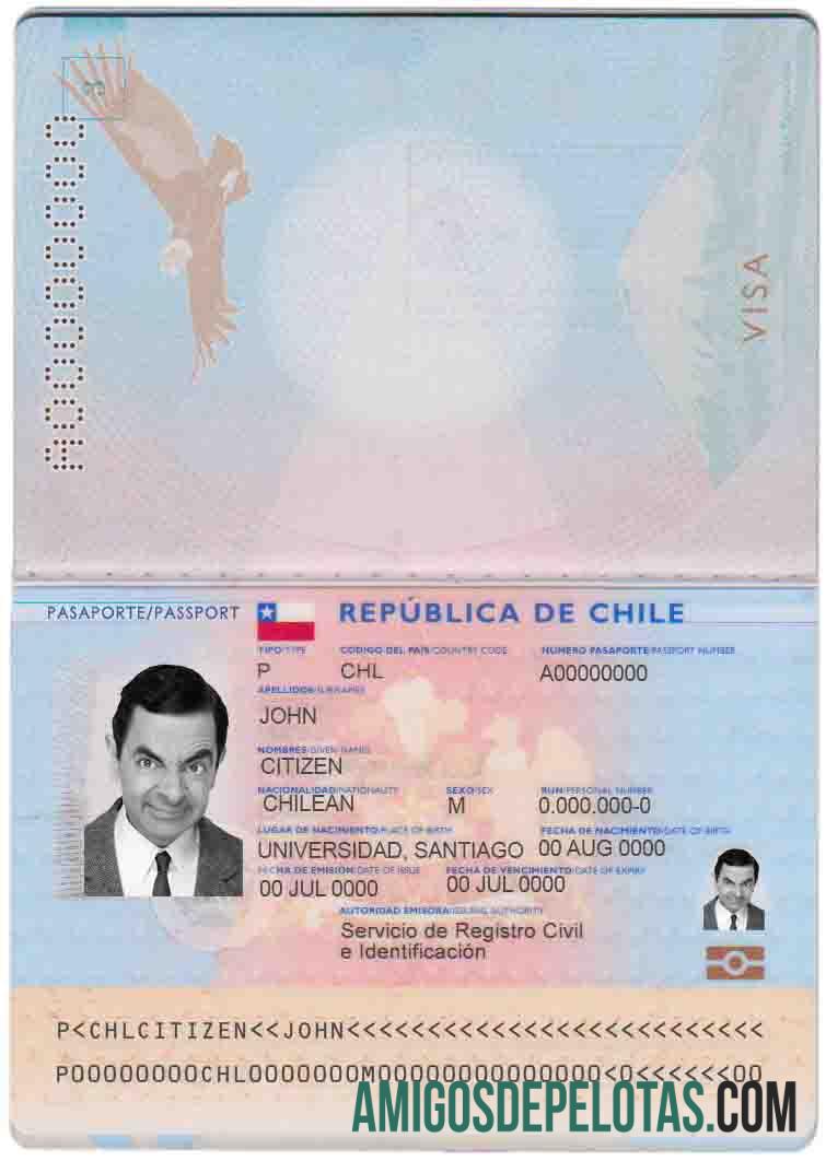 Chili paspor desain