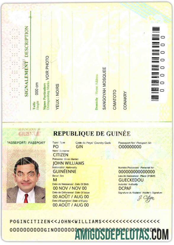 Guinea paspor (2014 2018) makering