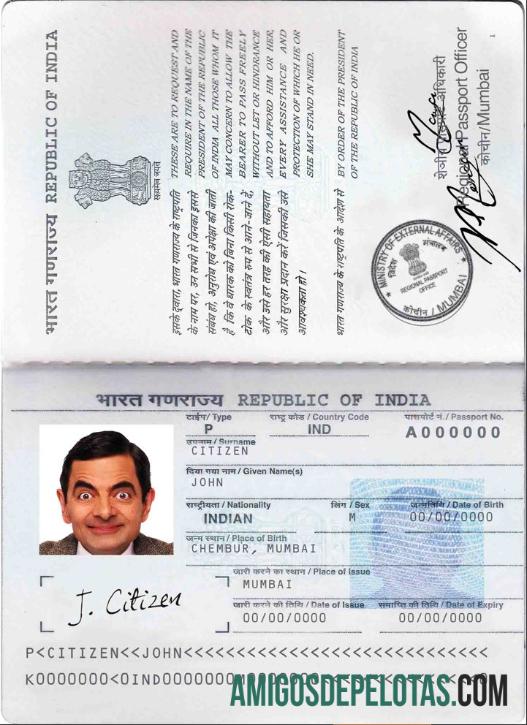 India paspor (2013 ΓÇô sekarang) desain