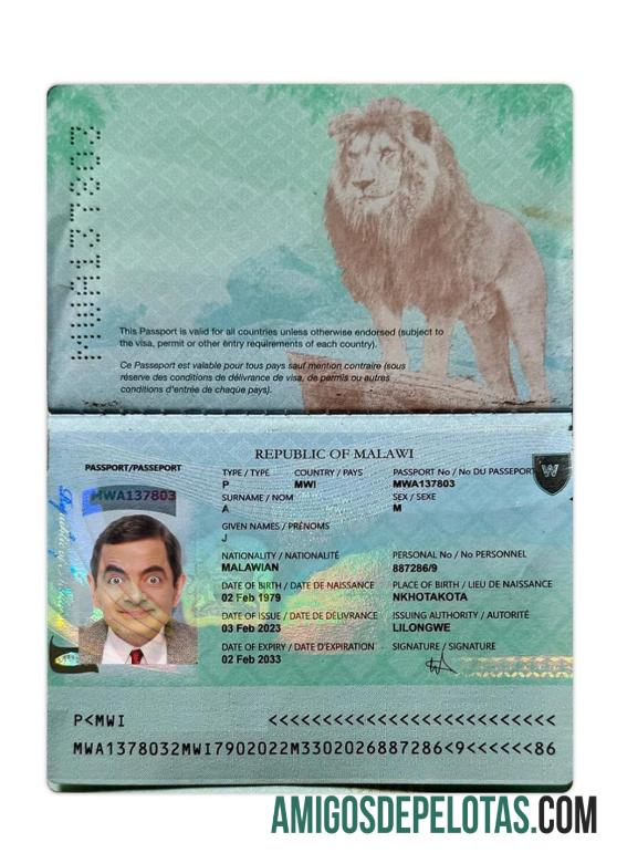 Malawi paspor 2023 sekarang makering