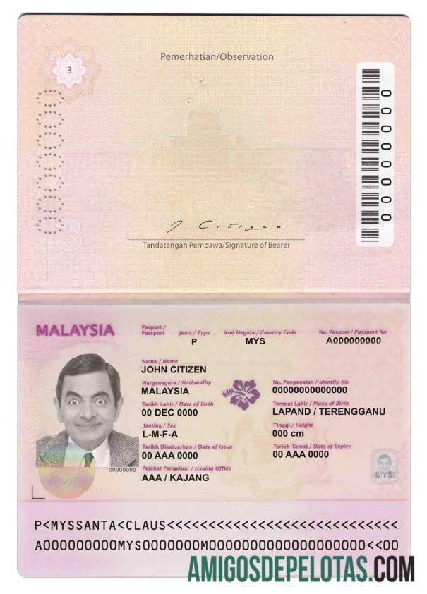 Malaysia paspor (2010 2017) pratinjau