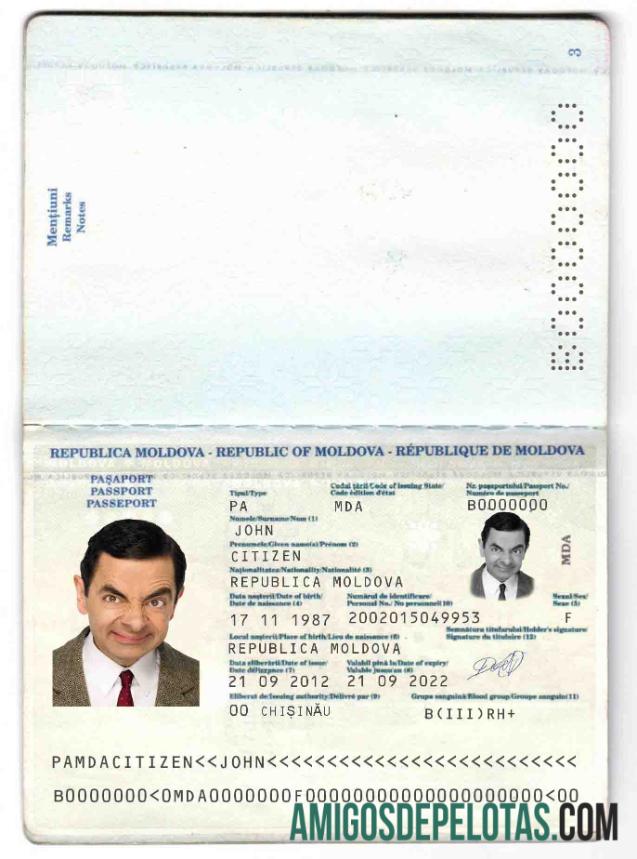 Moldova paspor (2011 2014) desain