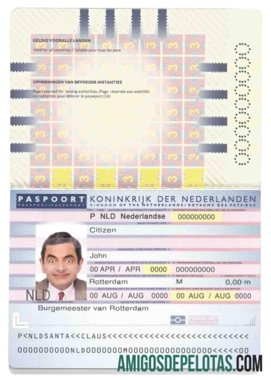 Belanda (Holland) paspor (2006 2016) desain