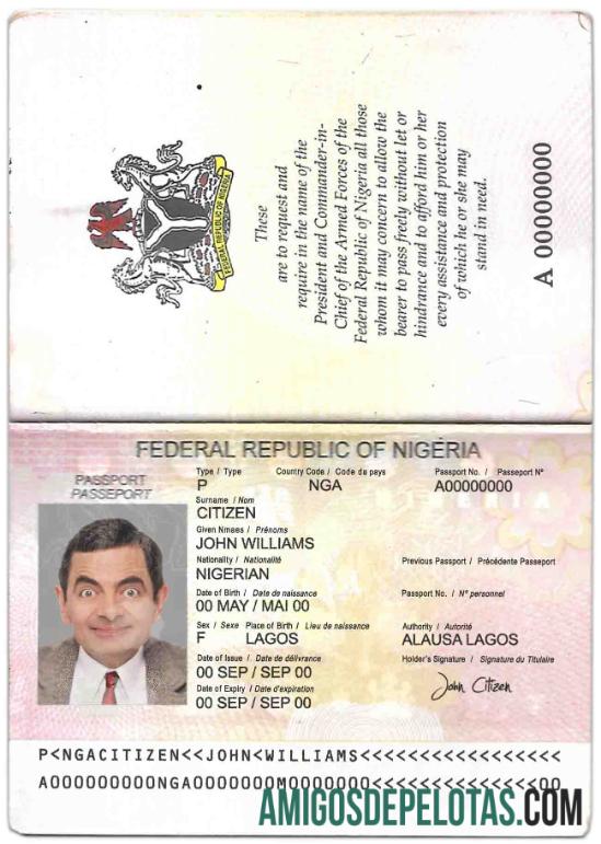 Nigeria paspor (2007 2019) templat