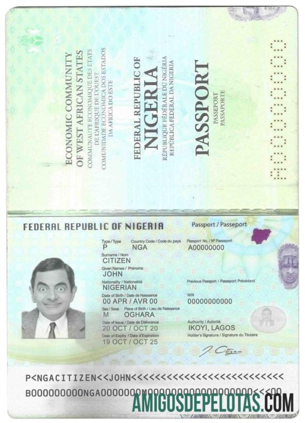 Nigeria paspor (2019 ΓÇô sekarang) sampel