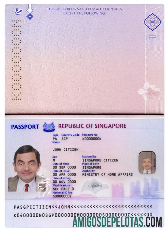 Singapura Baru paspor (2017+) templat