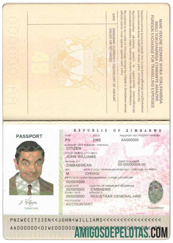 Zimbabwe paspor sampel