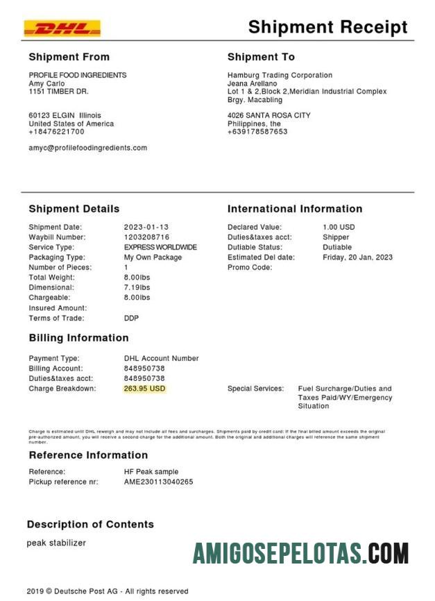 Dhl layanan shipment Kwitansi templat