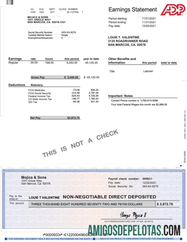 Dapat Diedit ADP earnings laporan Word and PDF templat