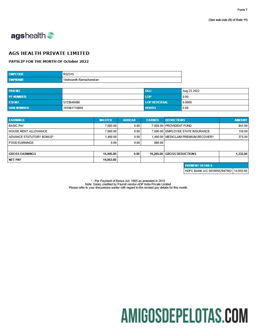 Profesional AGS kesehatan management Perusahaan payslip templat in Word and PDF format.PDF, 1