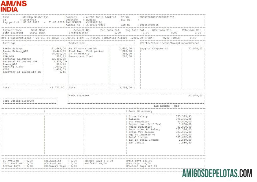 AM NS India Paystub makering