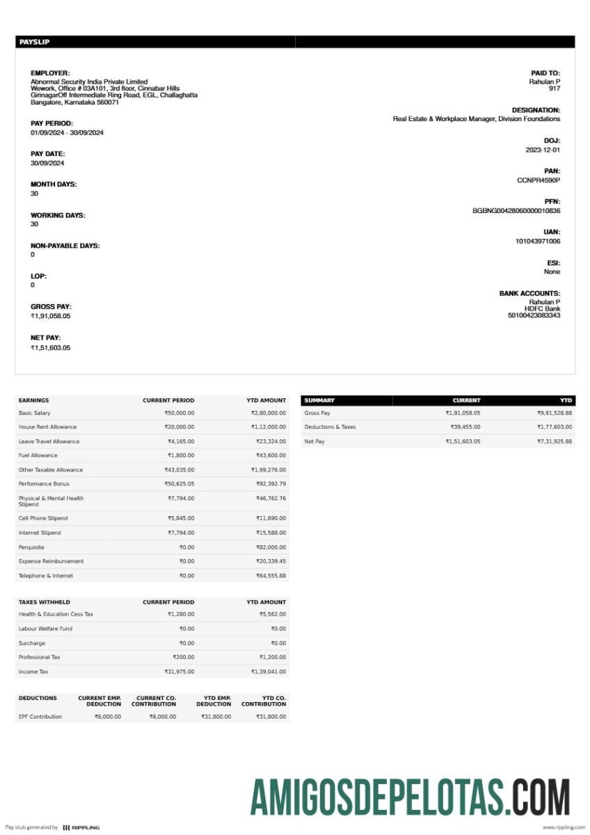 Profesional Abnormal Security India Private Limited payslip templat in Word and PDF format.PDF, 1