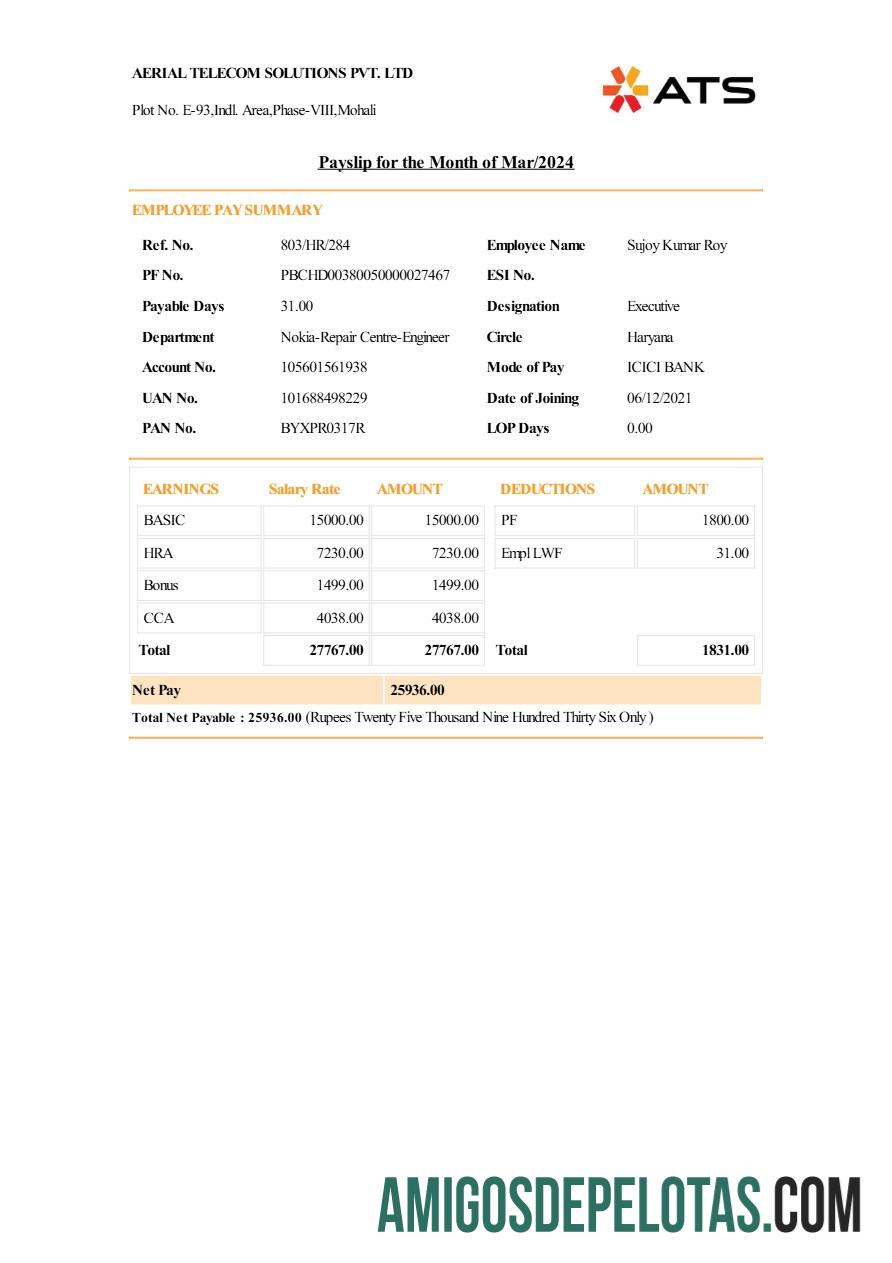Dapat Diedit Aerial Telecom Solutions payslip templat in Word and PDF format.PDF, 1