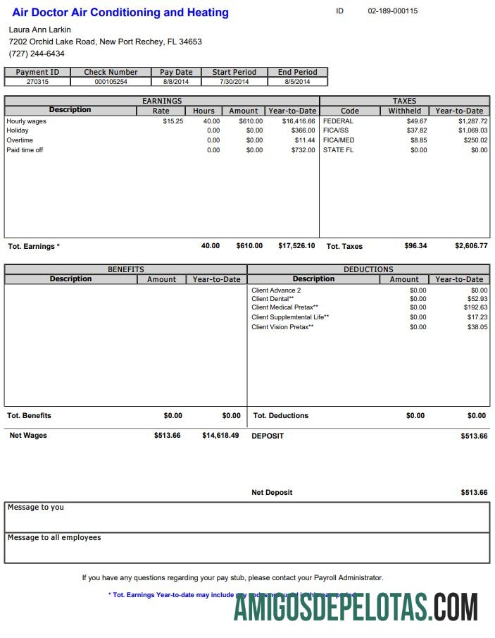 Air Doctor Paystub sampel