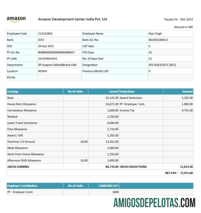 Dapat Diedit Amazon Development Center India payslip templat in Word and PDF format.PDF, 1