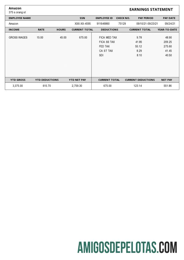 Amazon Paystub pratinjau