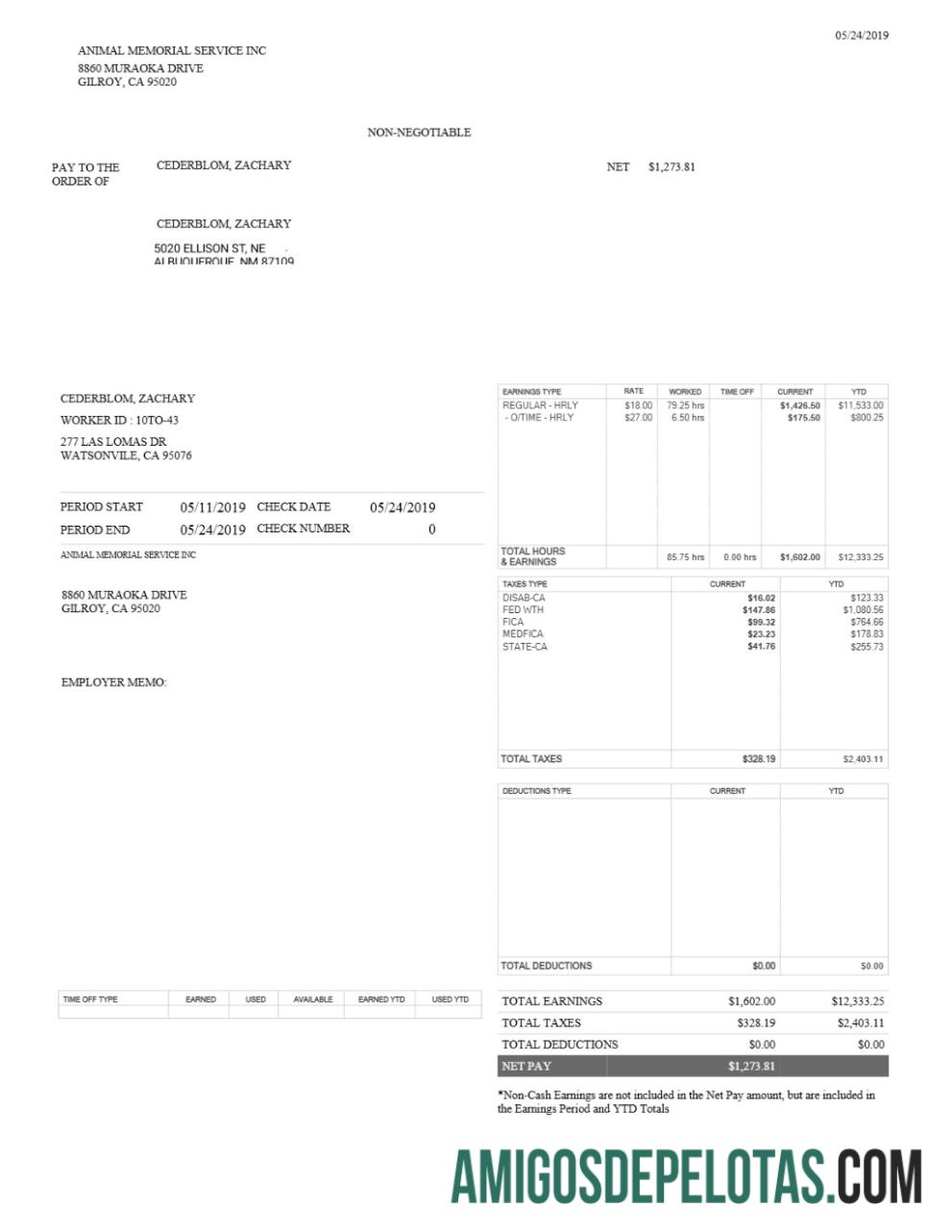 Realistis Animal Memorial layanan INC pay stub templat in Word and PDF format.PDF, 1